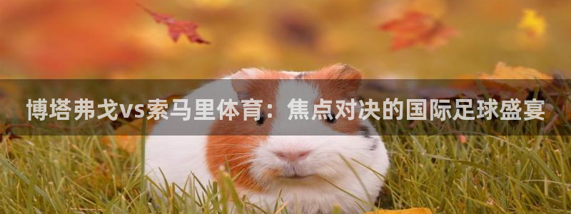 博塔弗戈vs索马里体育：焦点对决的国际足