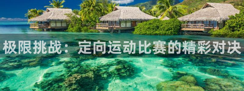 v站体育app下载安卓