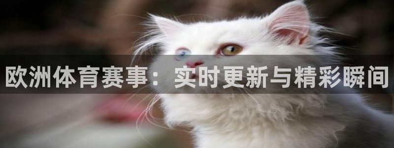 tv体育直播：欧洲体育赛事：实时更新与精